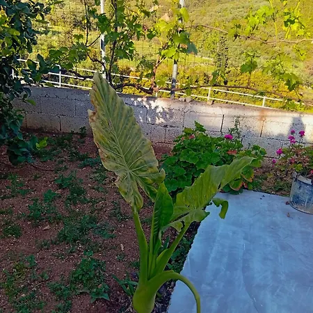Relax Village * Himarë